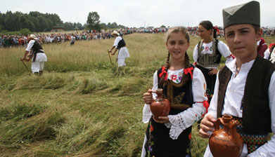 kosidba