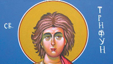 svet-trifun