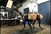 Robot Big Dog naučio je nove trikove: Baca cigle kao od šale