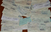 ФОТО: Грк сакал нелегално да внесе во Македонија еден ипол милиони евра