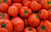До 15 август продолжен рокот за субвенционирање на вишокот домати