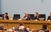 Skupština RS: Nastavljena rasprava o genocidu NDH