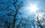 Vikend sunčan, ponegdje magla, temperatura do 15
